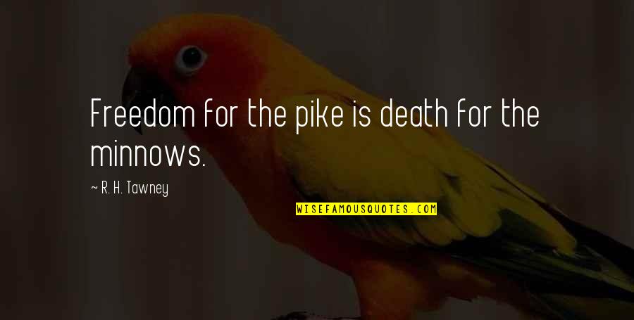 Pike Quotes By R. H. Tawney: Freedom for the pike is death for the