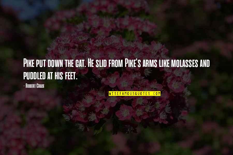 Pike Quotes By Robert Crais: Pike put down the cat. He slid from Pike Quotes By Robert Crais: Pike put down the cat. He slid from
