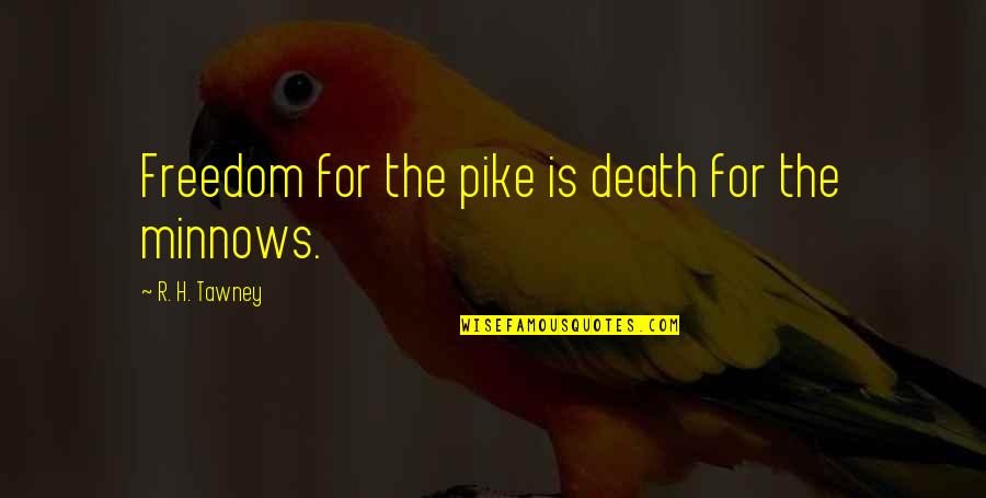 Pike's Quotes By R. H. Tawney: Freedom for the pike is death for the