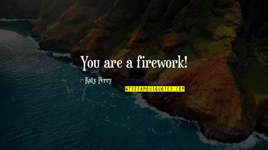 Pilato Zambian Quotes By Katy Perry: You are a firework! Pilato Zambian Quotes By Katy Perry: You are a firework!