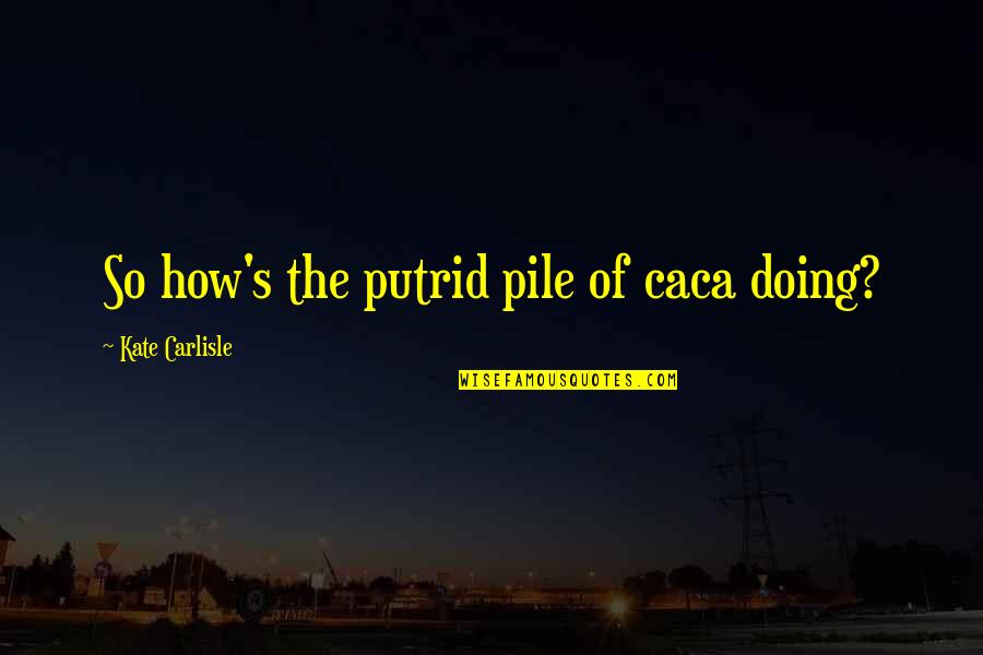 Pile Quotes By Kate Carlisle: So how's the putrid pile of caca doing? Pile Quotes By Kate Carlisle: So how's the putrid pile of caca doing?