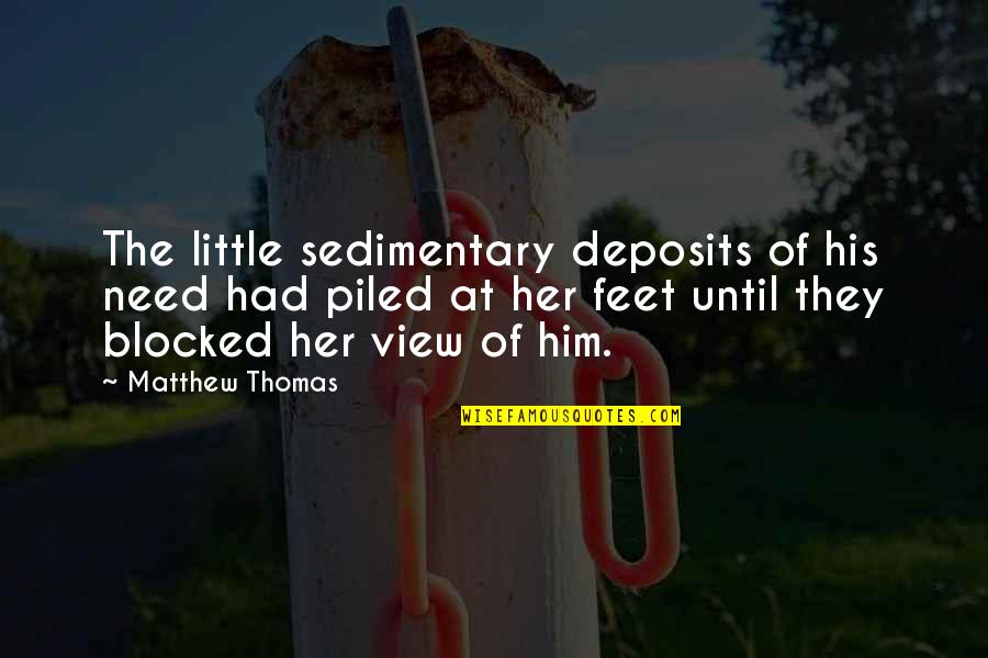 Piled Quotes By Matthew Thomas: The little sedimentary deposits of his need had