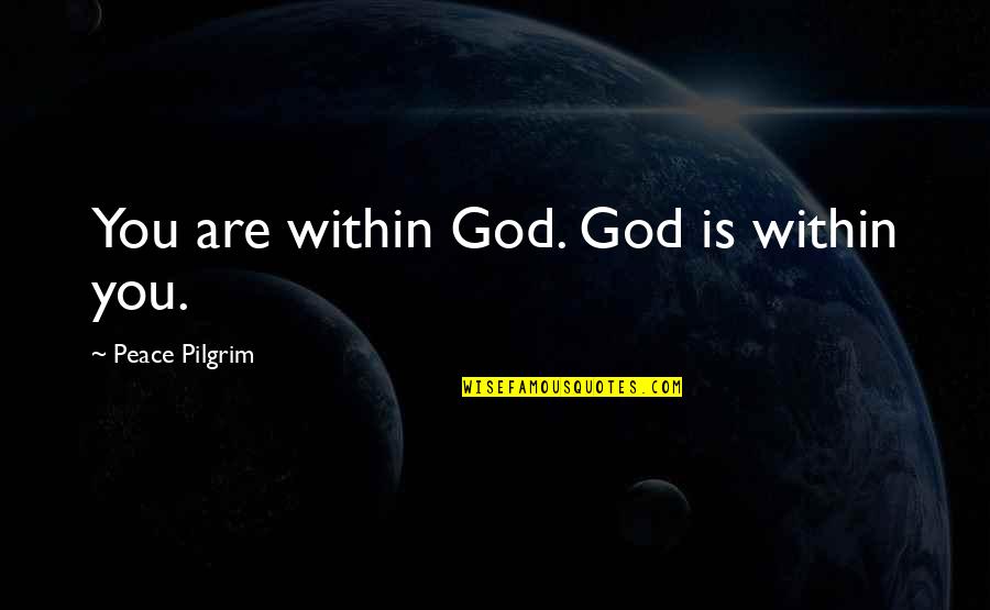 Pilgrim Quotes By Peace Pilgrim: You are within God. God is within you.