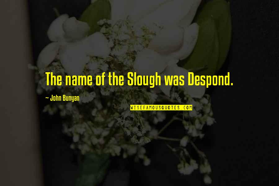 Pilgrims Quotes By John Bunyan: The name of the Slough was Despond.