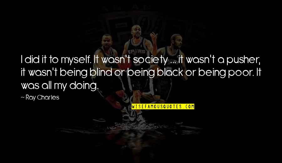 Pilissz Nt Quotes By Ray Charles: I did it to myself. It wasn't society Pilissz Nt Quotes By Ray Charles: I did it to myself. It wasn't society