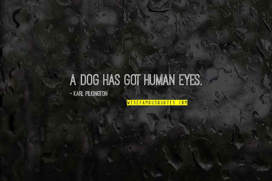 Pilkington Quotes By Karl Pilkington: A dog has got human eyes.