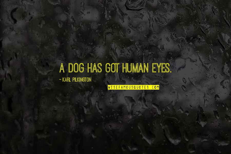 Pilkington's Quotes By Karl Pilkington: A dog has got human eyes.