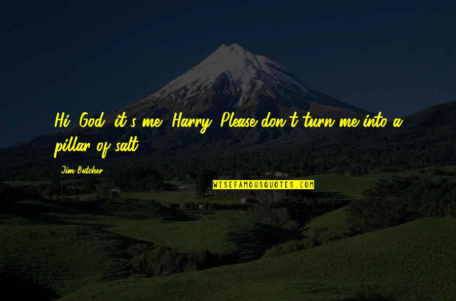 Pillar Of Salt Quotes By Jim Butcher: Hi, God, it's me, Harry. Please don't turn
