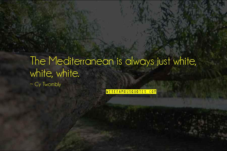 Pillaring Quotes By Cy Twombly: The Mediterranean is always just white, white, white.