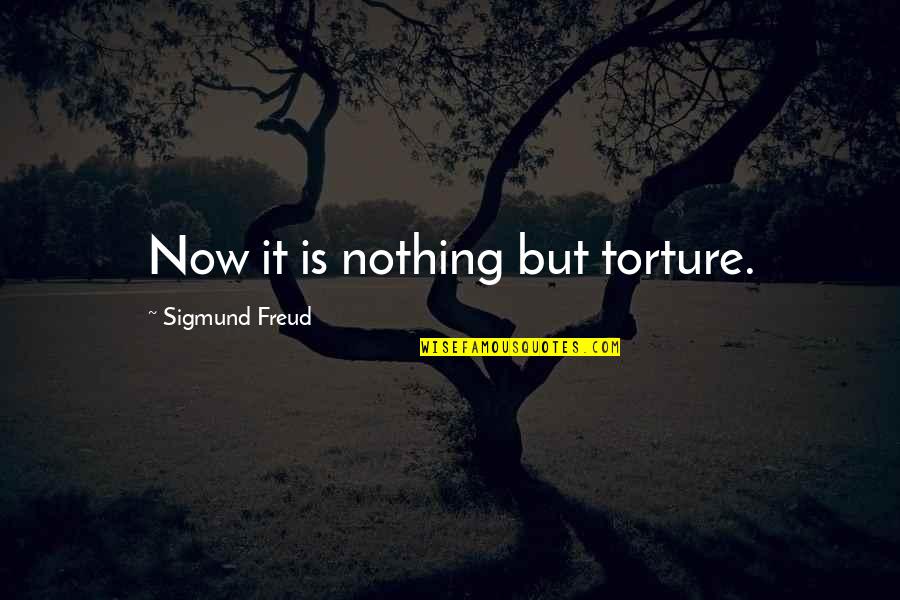 Pillout Quotes By Sigmund Freud: Now it is nothing but torture.