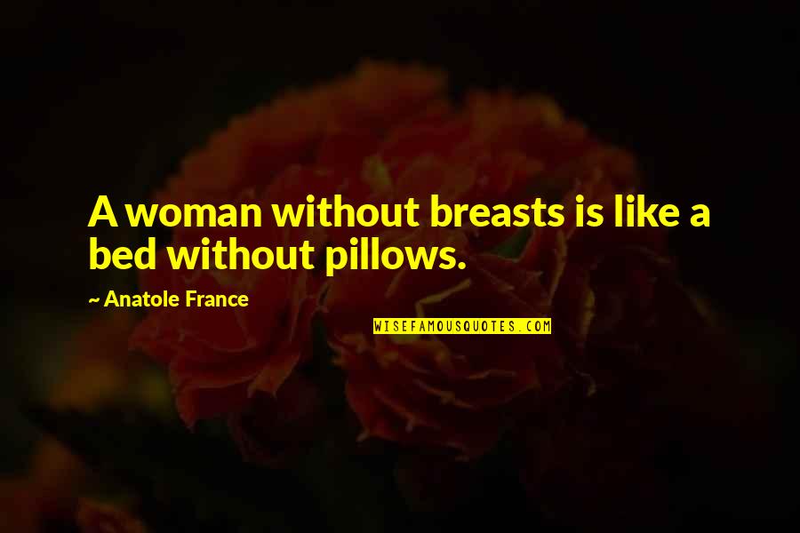 Pillows W Quotes By Anatole France: A woman without breasts is like a bed