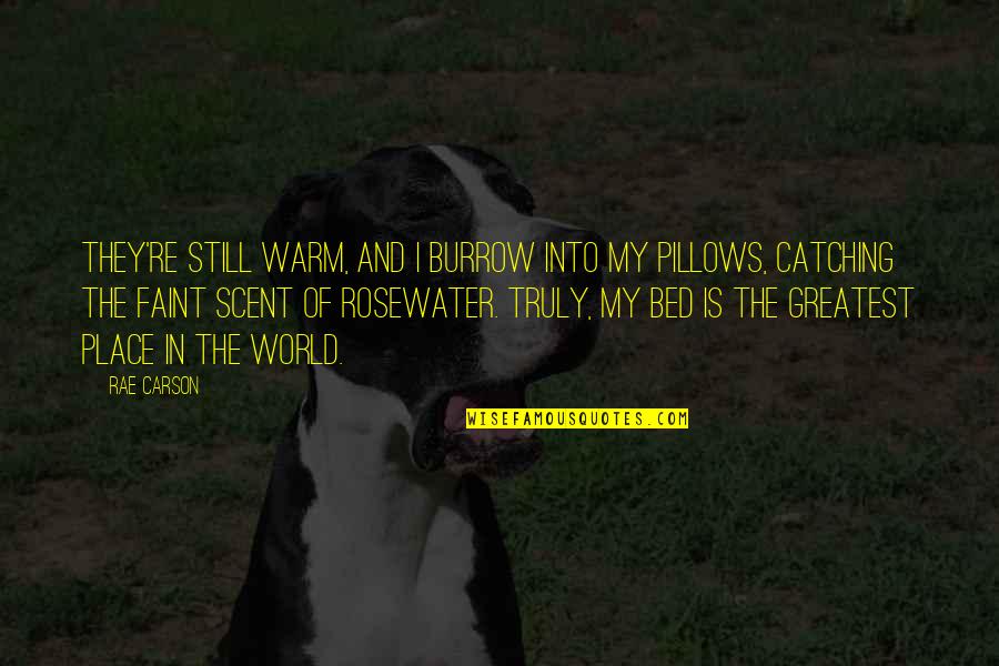 Pillows With Quotes By Rae Carson: They're still warm, and I burrow into my