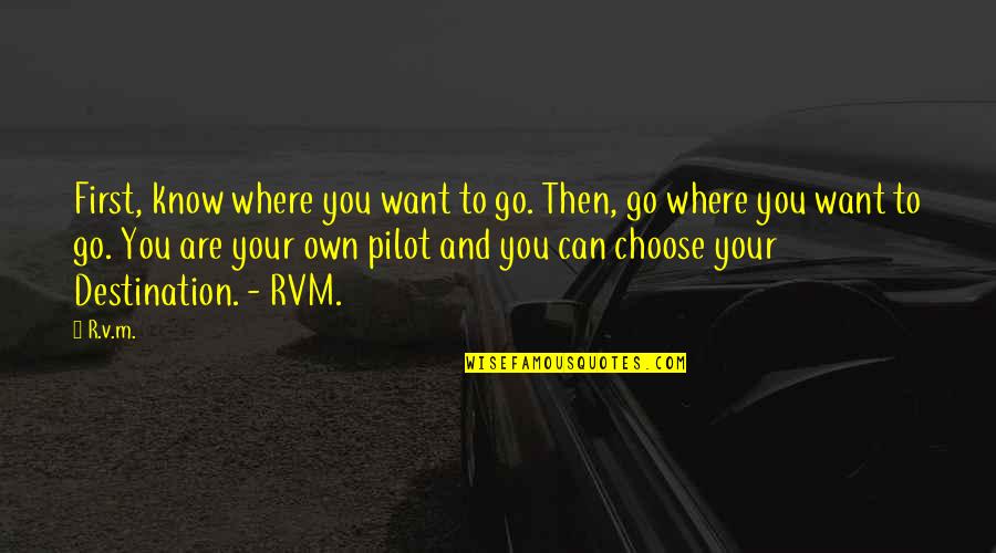 Pilot Motivational Quotes By R.v.m.: First, know where you want to go. Then,