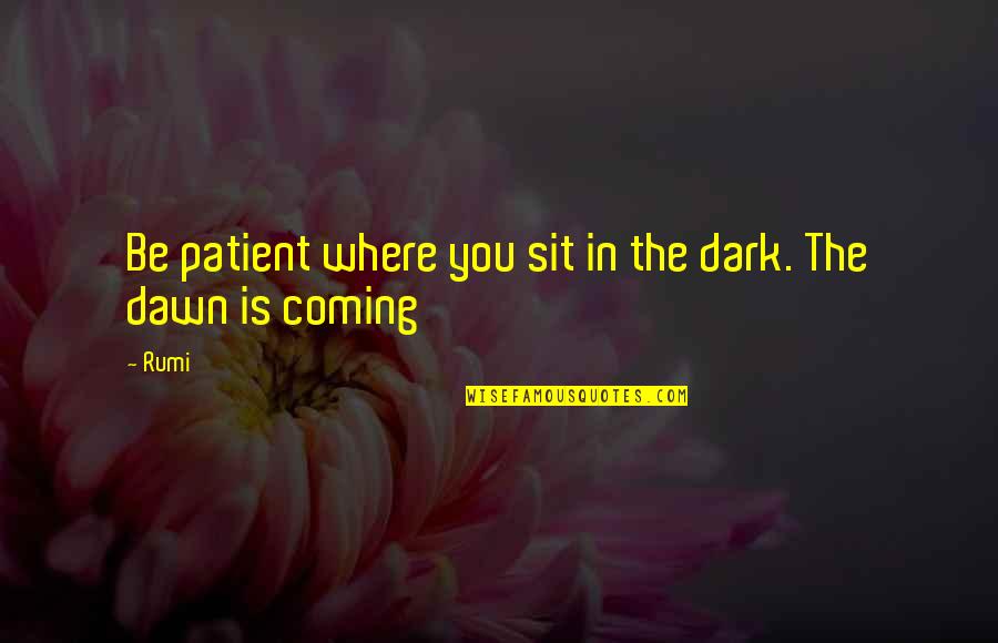 Piloting Synonym Quotes By Rumi: Be patient where you sit in the dark.