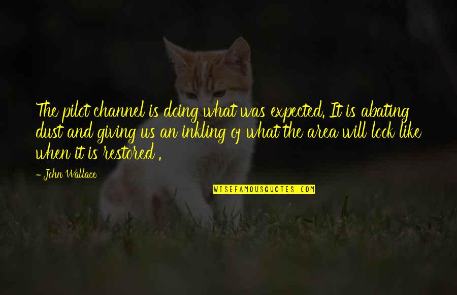 Pilots Quotes By John Wallace: The pilot channel is doing what was expected. Pilots Quotes By John Wallace: The pilot channel is doing what was expected.