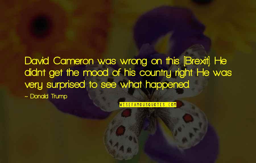 Pilula Quotes By Donald Trump: David Cameron was wrong on this [Brexit]. He