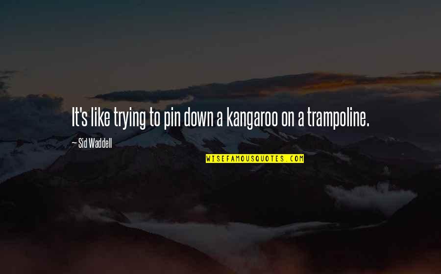 Pin On Quotes By Sid Waddell: It's like trying to pin down a kangaroo
