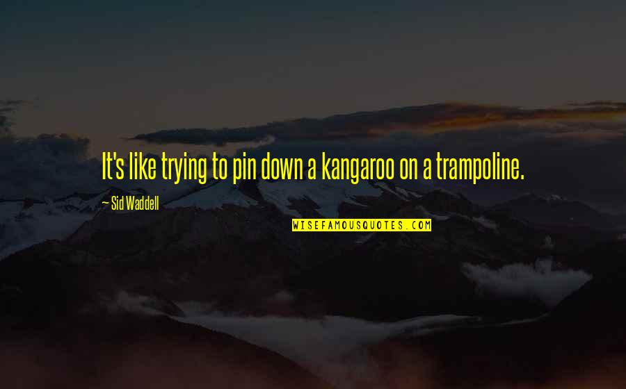 Pin Quotes By Sid Waddell: It's like trying to pin down a kangaroo Pin Quotes By Sid Waddell: It's like trying to pin down a kangaroo