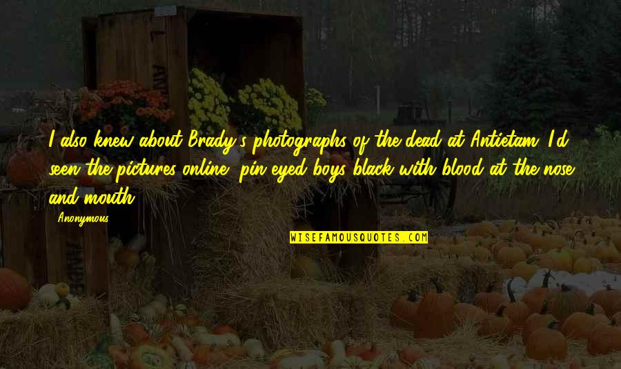 Pin The Quotes By Anonymous: I also knew about Brady's photographs of the Pin The Quotes By Anonymous: I also knew about Brady's photographs of the