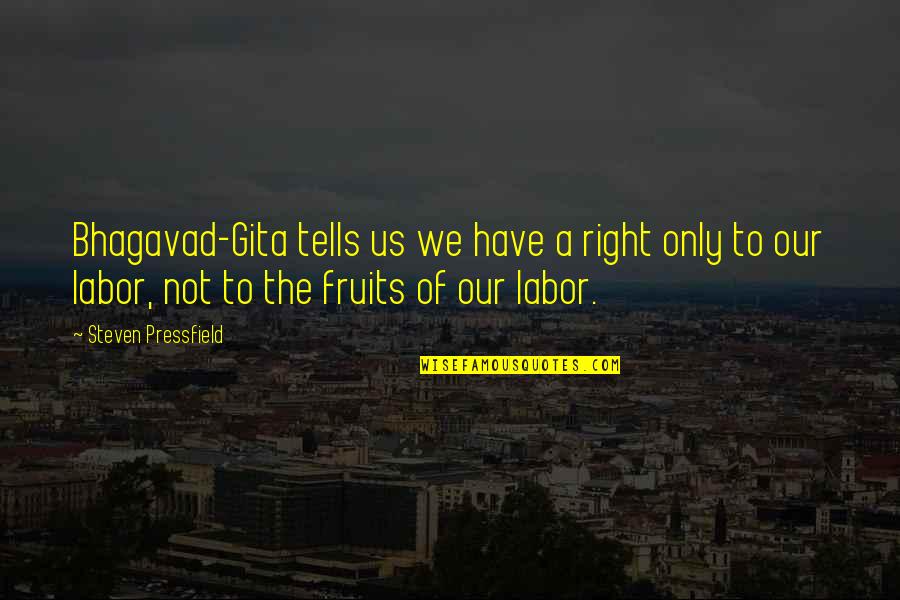 Pinas Roxborough Quotes By Steven Pressfield: Bhagavad-Gita tells us we have a right only Pinas Roxborough Quotes By Steven Pressfield: Bhagavad-Gita tells us we have a right only