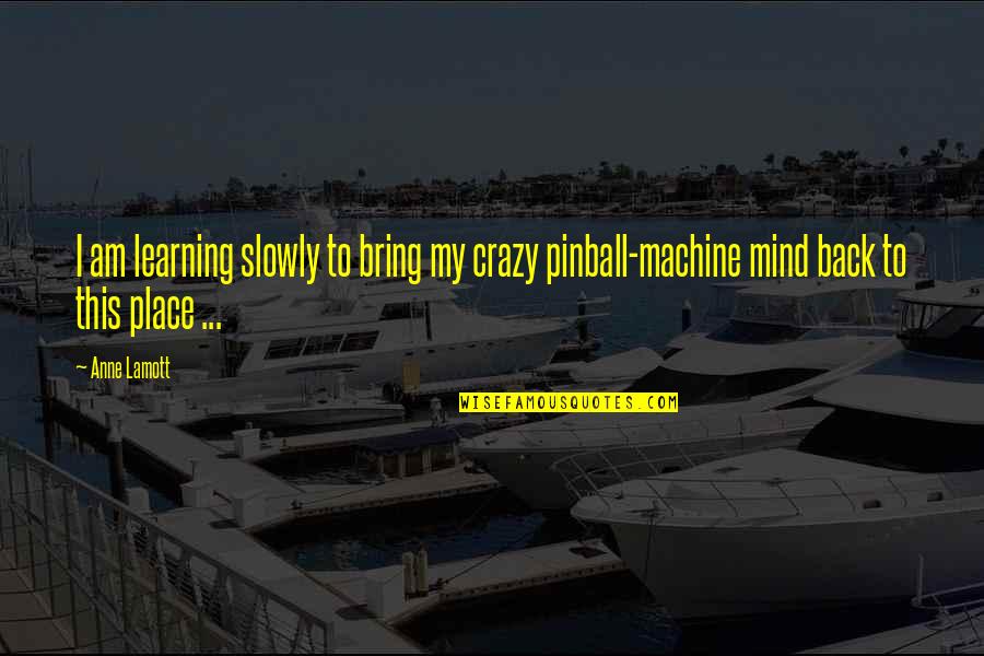 Pinball Machine Quotes By Anne Lamott: I am learning slowly to bring my crazy