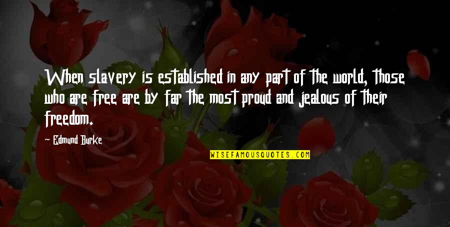 Pinchazo A Domicilio Quotes By Edmund Burke: When slavery is established in any part of Pinchazo A Domicilio Quotes By Edmund Burke: When slavery is established in any part of