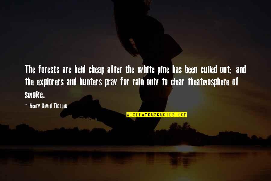 Pine Forests Quotes By Henry David Thoreau: The forests are held cheap after the white Pine Forests Quotes By Henry David Thoreau: The forests are held cheap after the white