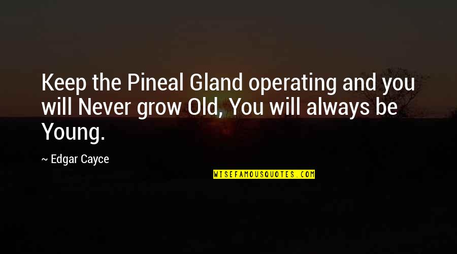 Pineal Quotes By Edgar Cayce: Keep the Pineal Gland operating and you will Pineal Quotes By Edgar Cayce: Keep the Pineal Gland operating and you will