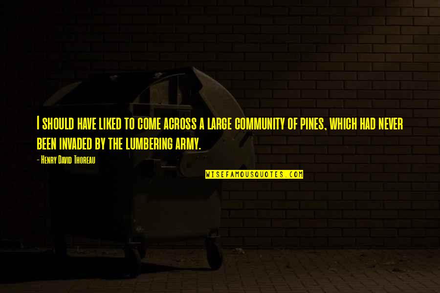 Pines Quotes By Henry David Thoreau: I should have liked to come across a Pines Quotes By Henry David Thoreau: I should have liked to come across a