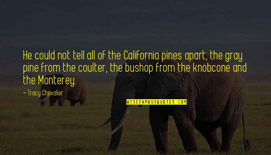 Pines Quotes By Tracy Chevalier: He could not tell all of the California Pines Quotes By Tracy Chevalier: He could not tell all of the California