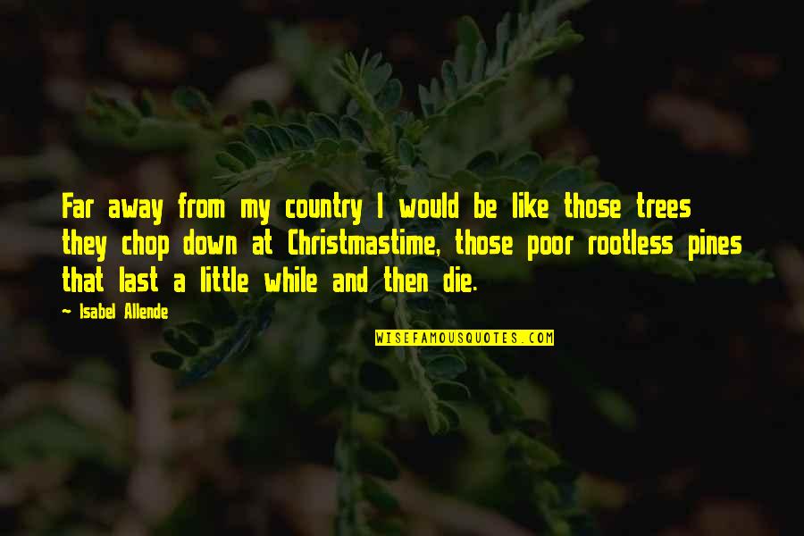 Pines Tree Quotes By Isabel Allende: Far away from my country I would be