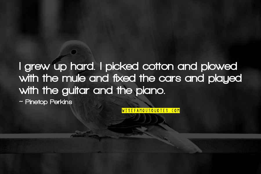 Pinetop Perkins Quotes By Pinetop Perkins: I grew up hard. I picked cotton and