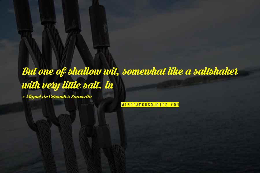 Pinguem Quotes By Miguel De Cervantes Saavedra: But one of shallow wit, somewhat like a Pinguem Quotes By Miguel De Cervantes Saavedra: But one of shallow wit, somewhat like a