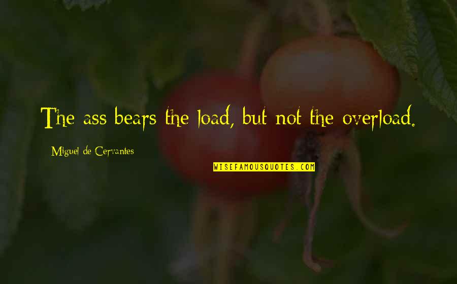 Pink And The Brain Quotes By Miguel De Cervantes: The ass bears the load, but not the