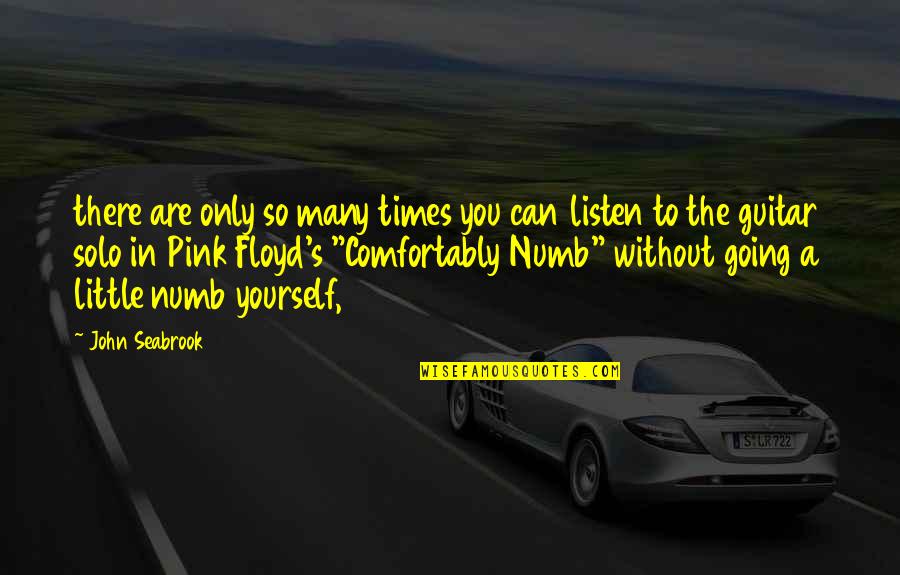Pink Floyd Comfortably Numb Quotes By John Seabrook: there are only so many times you can
