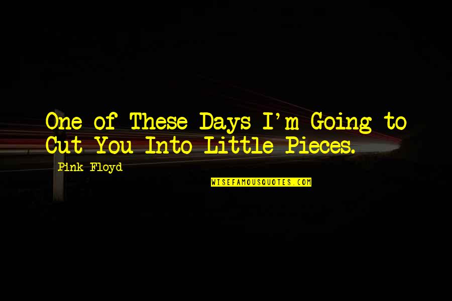 Pink Floyd Quotes By Pink Floyd: One of These Days I'm Going to Cut
