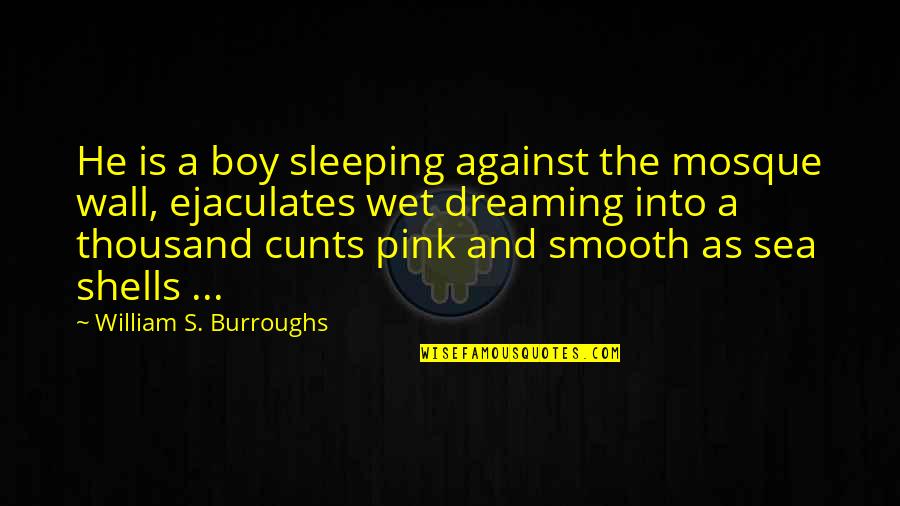 Pink Pink Quotes By William S. Burroughs: He is a boy sleeping against the mosque