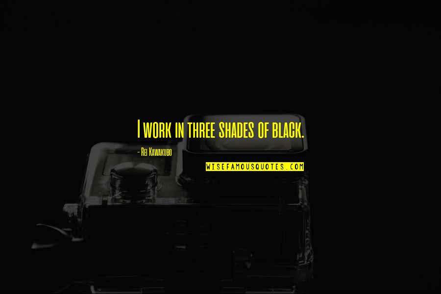 Pinky Mood Quotes By Rei Kawakubo: I work in three shades of black. Pinky Mood Quotes By Rei Kawakubo: I work in three shades of black.
