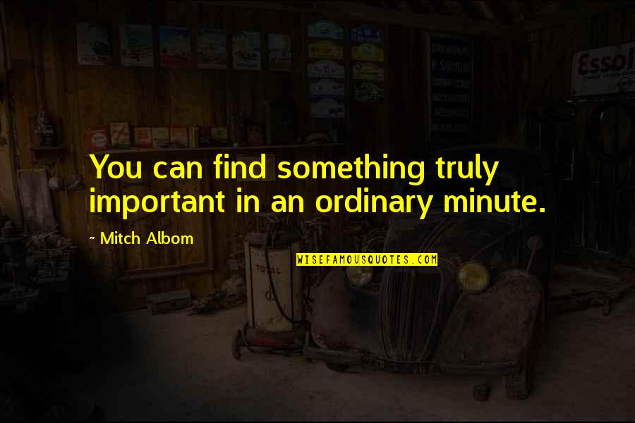 Pinneberger Quotes By Mitch Albom: You can find something truly important in an