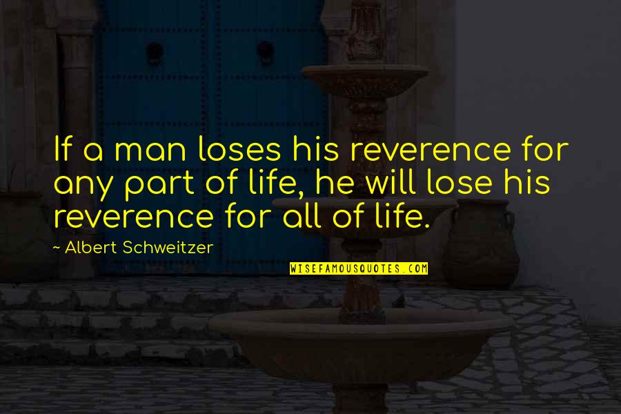 Pinnick Painting Quotes By Albert Schweitzer: If a man loses his reverence for any Pinnick Painting Quotes By Albert Schweitzer: If a man loses his reverence for any