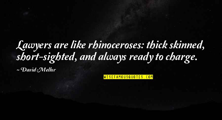 Pinnsights Quotes By David Mellor: Lawyers are like rhinoceroses: thick skinned, short-sighted, and