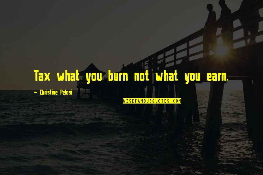 Pinocchio Donkey Quotes By Christine Pelosi: Tax what you burn not what you earn.