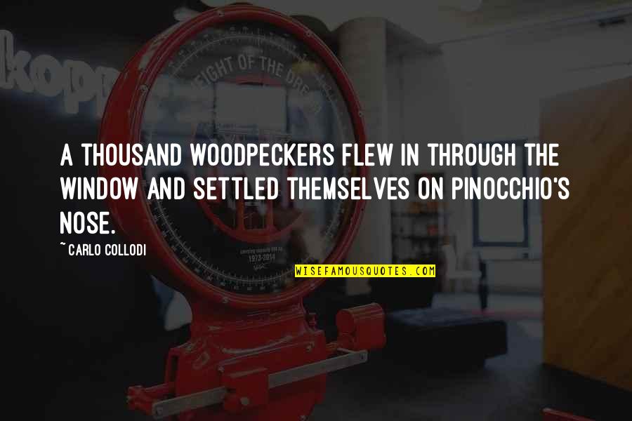Pinocchio's Quotes By Carlo Collodi: A thousand woodpeckers flew in through the window