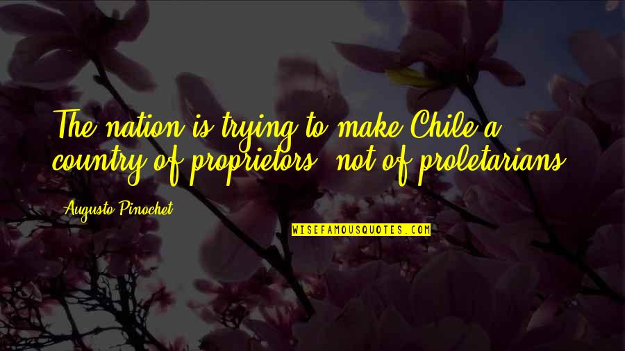 Pinochet Quotes By Augusto Pinochet: The nation is trying to make Chile a