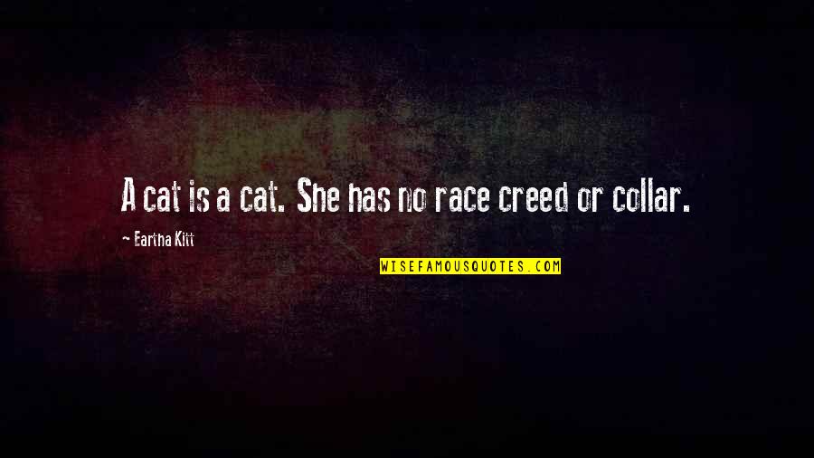 Pinot Noir Quotes By Eartha Kitt: A cat is a cat. She has no Pinot Noir Quotes By Eartha Kitt: A cat is a cat. She has no