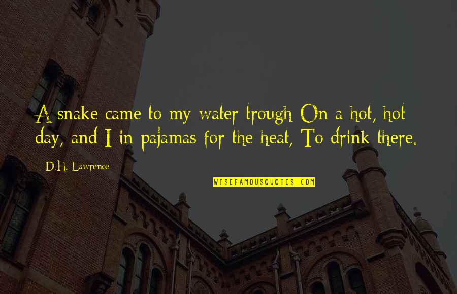 Pinoy Kulit Quotes By D.H. Lawrence: A snake came to my water trough On