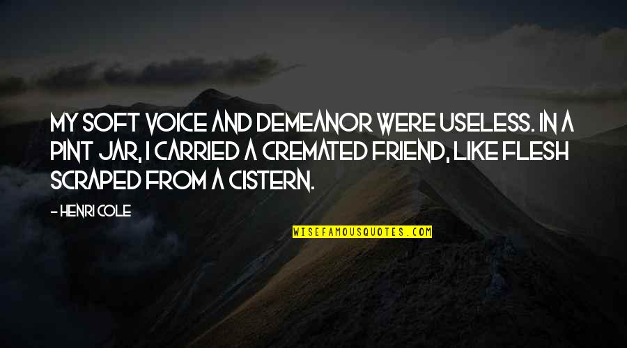 Pint Quotes By Henri Cole: My soft voice and demeanor were useless. In Pint Quotes By Henri Cole: My soft voice and demeanor were useless. In