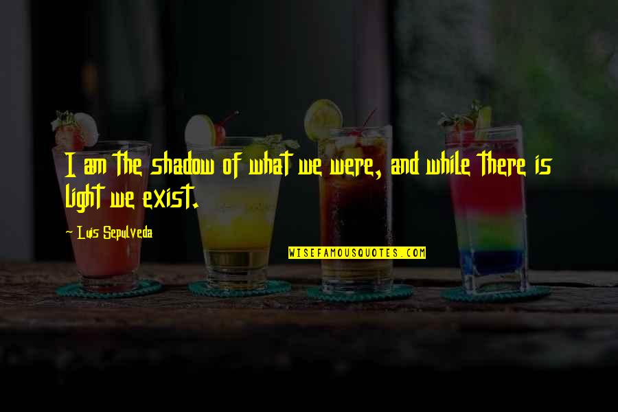Pintou De Lestelas Quotes By Luis Sepulveda: I am the shadow of what we were,