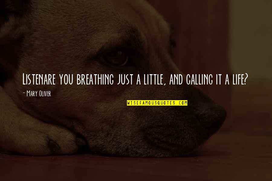 Piove Wine Quotes By Mary Oliver: Listenare you breathing just a little, and calling