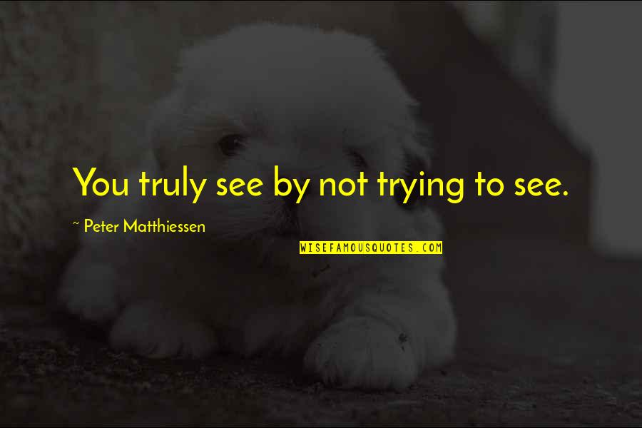 Pipelines Quotes By Peter Matthiessen: You truly see by not trying to see. Pipelines Quotes By Peter Matthiessen: You truly see by not trying to see.